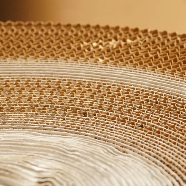Boite de rangement huiles essentielles.