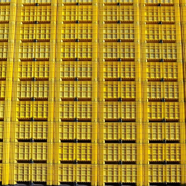 Boite de rangement huiles essentielles