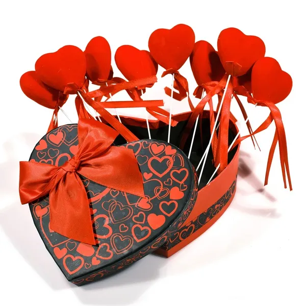 Trousse de rangement huiles essentielles.